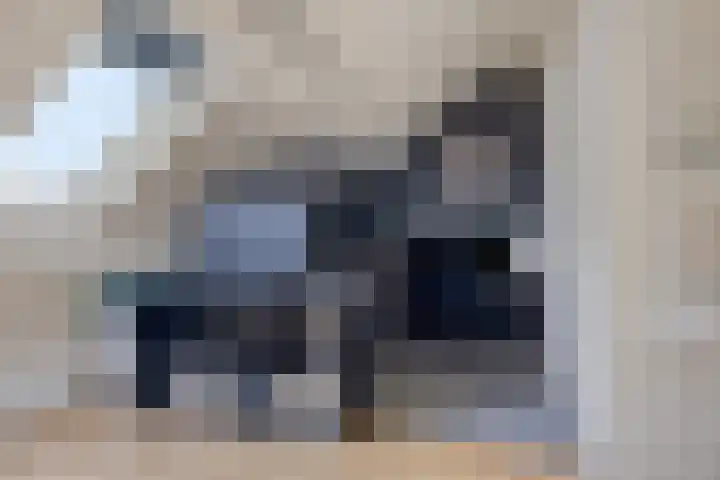 Spinnekop 9 Sneek thumbnail 26