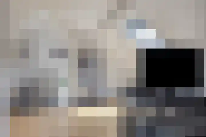 Spinnekop 9 Sneek thumbnail 27