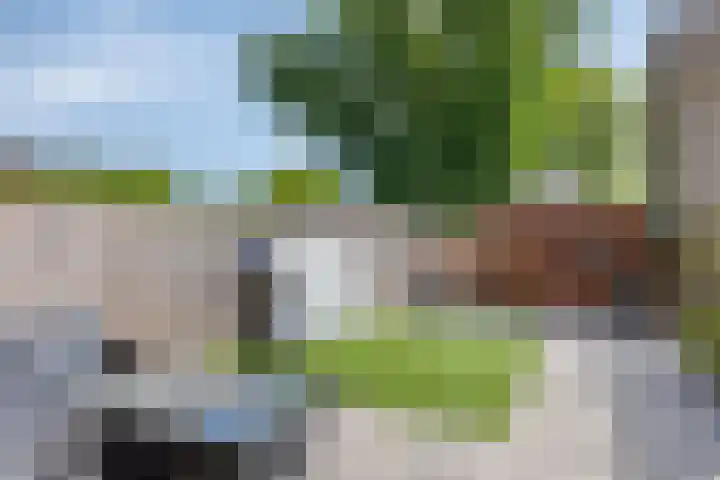 Spinnekop 9 Sneek thumbnail 28