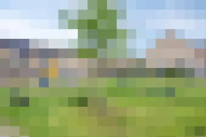 Spinnekop 9 Sneek thumbnail 30