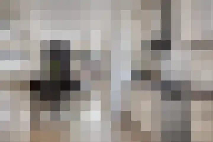 Spinnekop 9 Sneek thumbnail 4