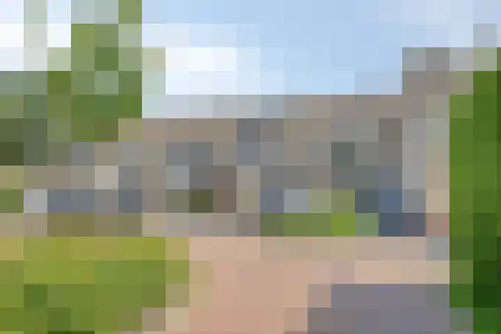 Spinnekop 9 Sneek thumbnail 5