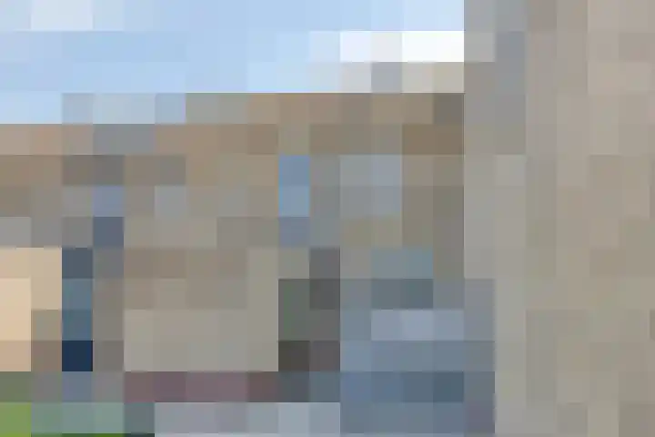 Spinnekop 9 Sneek thumbnail 6