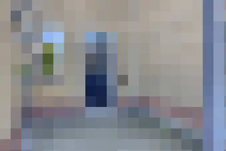 Spinnekop 9 Sneek thumbnail 7