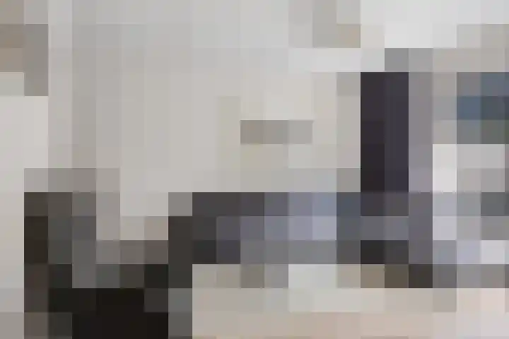 Spinnekop 9 Sneek thumbnail 9