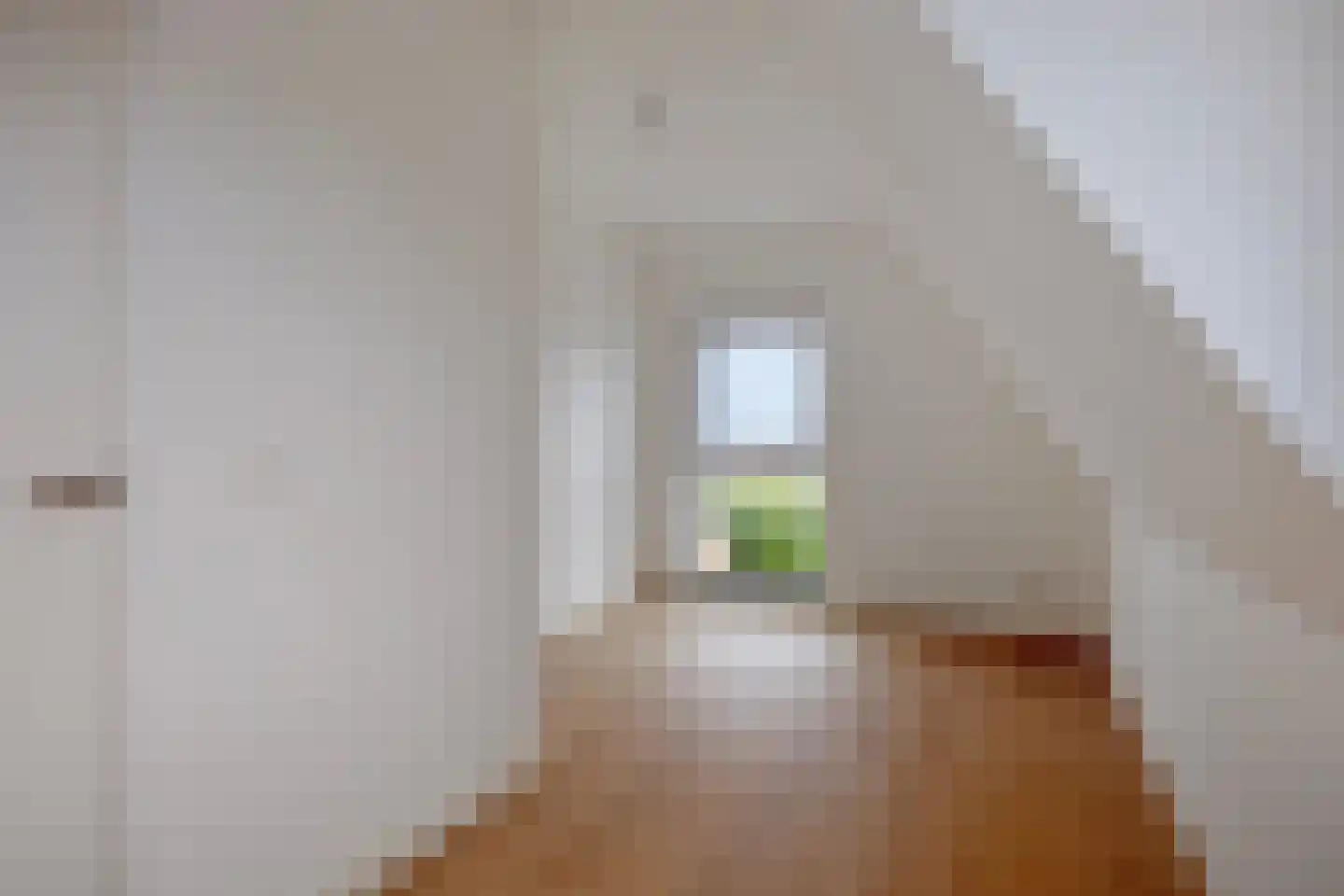 Spinnekopmolen 17 de Lutte thumbnail 18