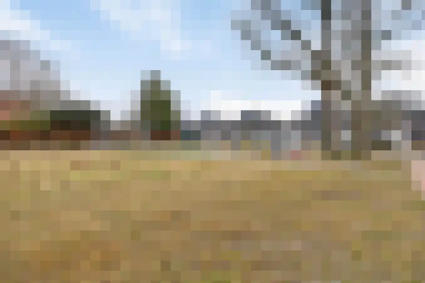 Spinnekopmolen 17 de Lutte thumbnail 27