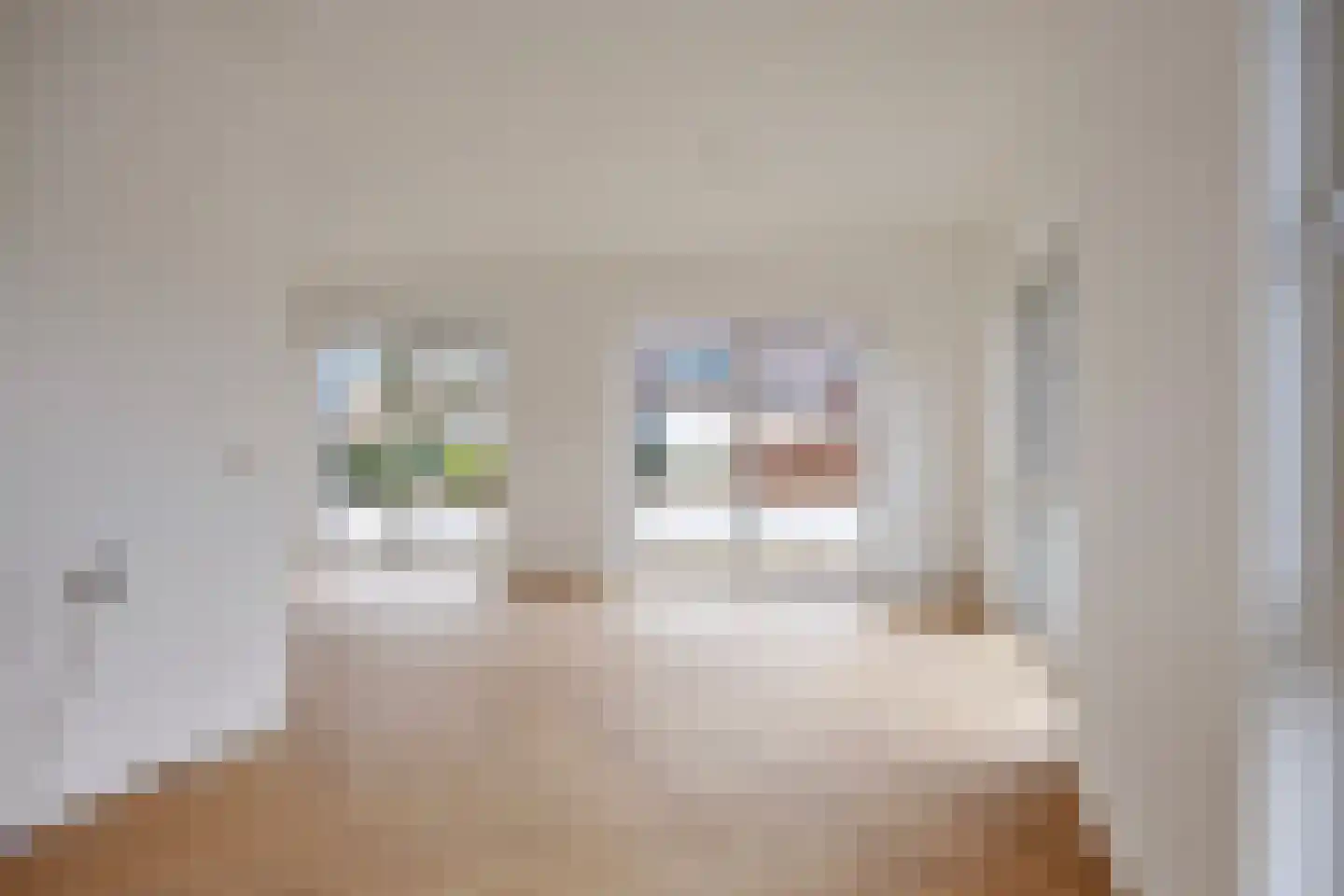 Spinnekopmolen 17 de Lutte thumbnail 9