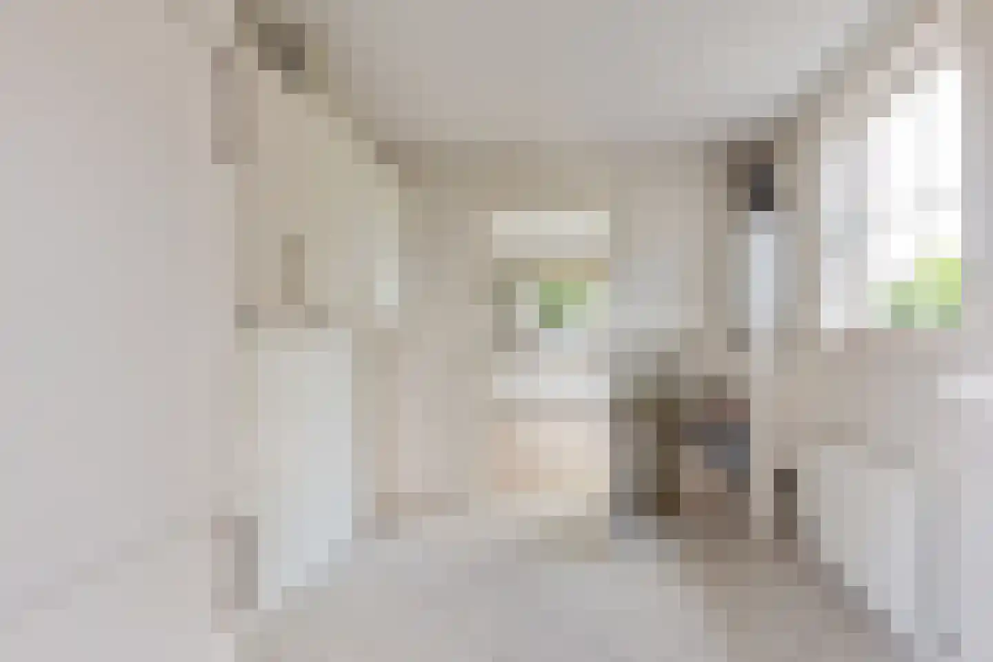 Spinnekopmolen 24 de Lutte thumbnail 11