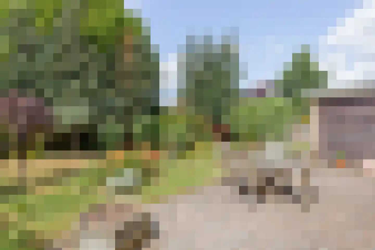 Spinnekopmolen 24 de Lutte thumbnail 20