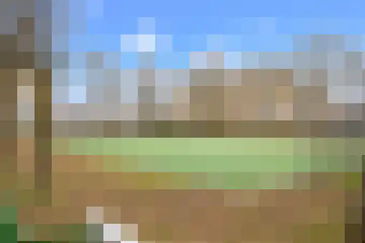 Spinner 21 Nieuw-Vennep thumbnail 19