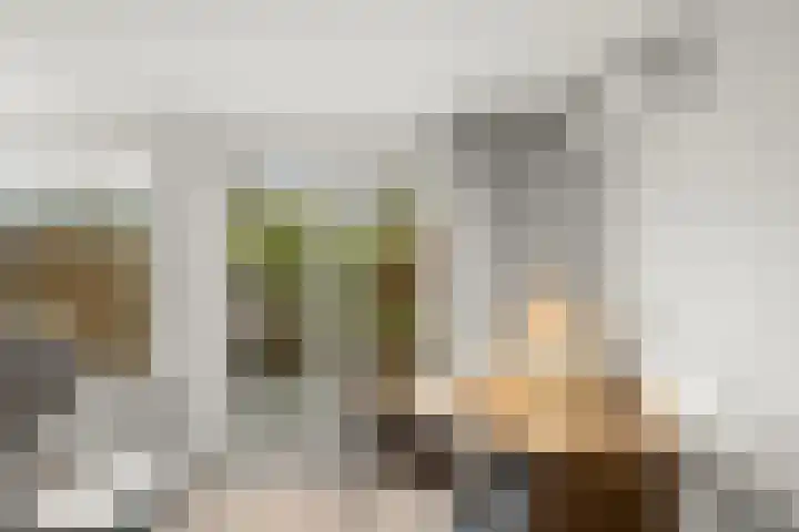 Spinner 21 Nieuw-Vennep thumbnail 6