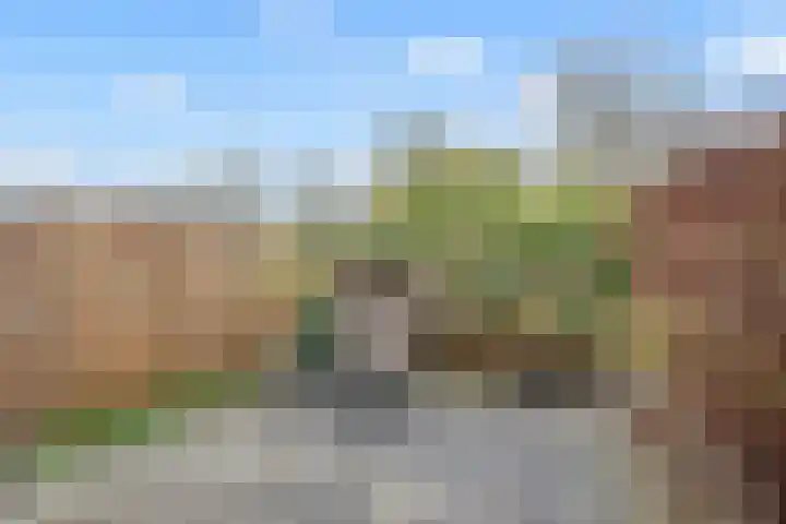 Spinner 21 Nieuw-Vennep thumbnail 7