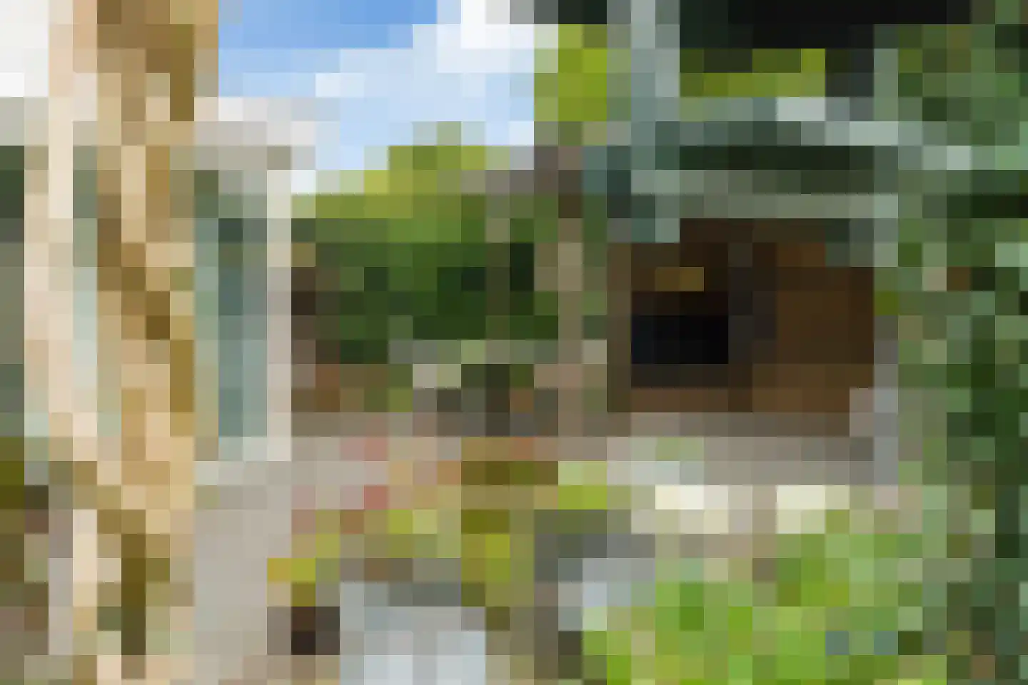 Spinner 9 De Knipe thumbnail 30