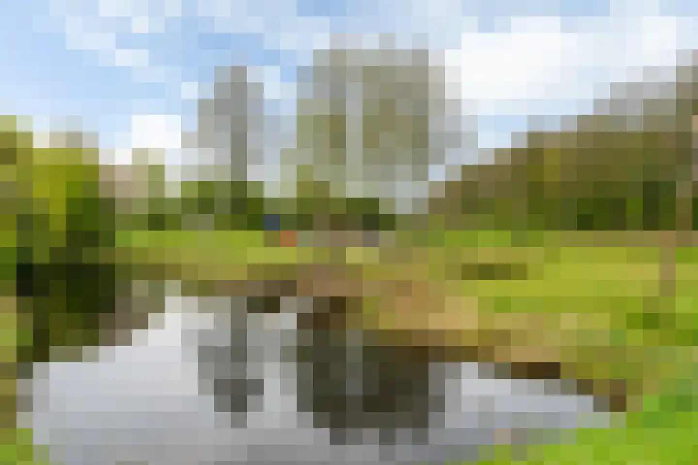 Spinner 9 De Knipe thumbnail 43