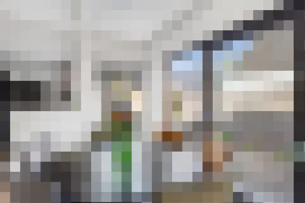 Spinnerij 13 Gorredijk thumbnail 11