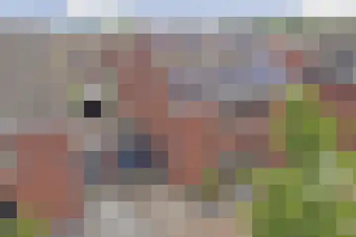 Spinnerij 24 Almelo thumbnail 23