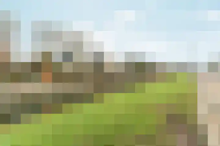 Spinnerij 25 Barendrecht thumbnail 45