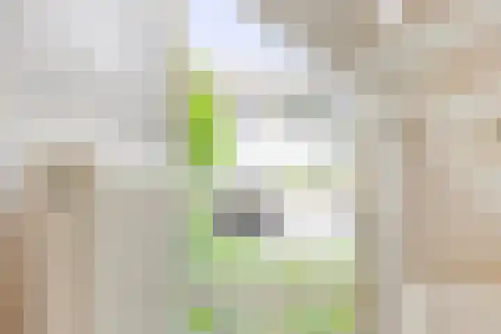Spinnerij 37 Barendrecht thumbnail 9