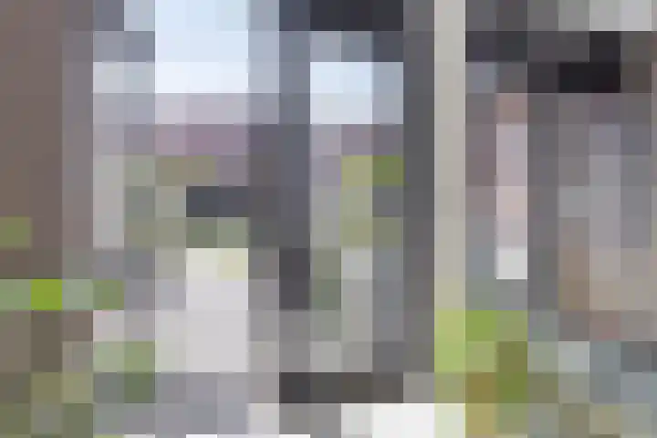 Spinnerij 39 Almelo thumbnail 13