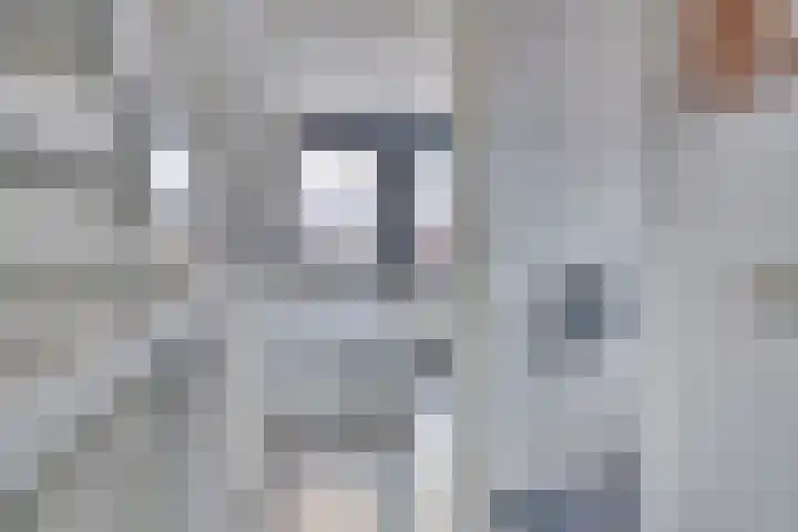 Spinnerij 39 Almelo thumbnail 27