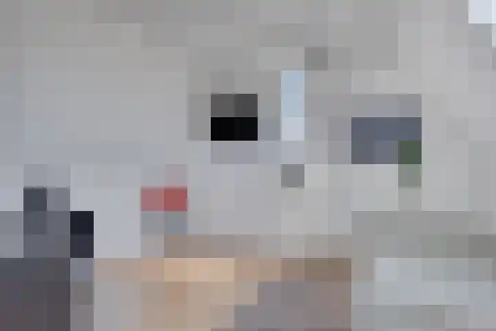 Spinnerij 39 Almelo thumbnail 30