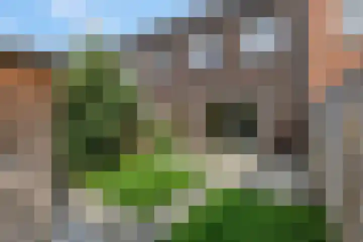 Spinnerij 39 Ede thumbnail 20