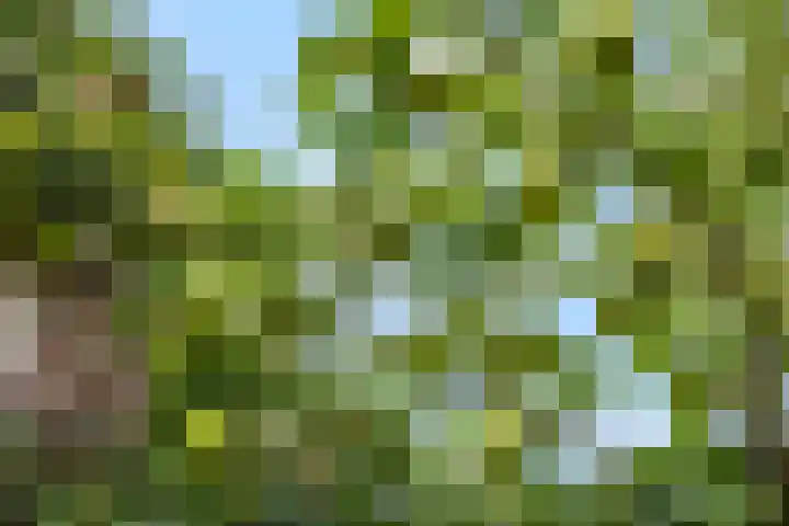 Spinnerij 39 Ede thumbnail 23