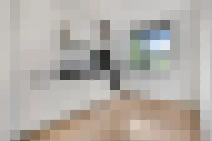 Spinnerij 39 Ede thumbnail 9