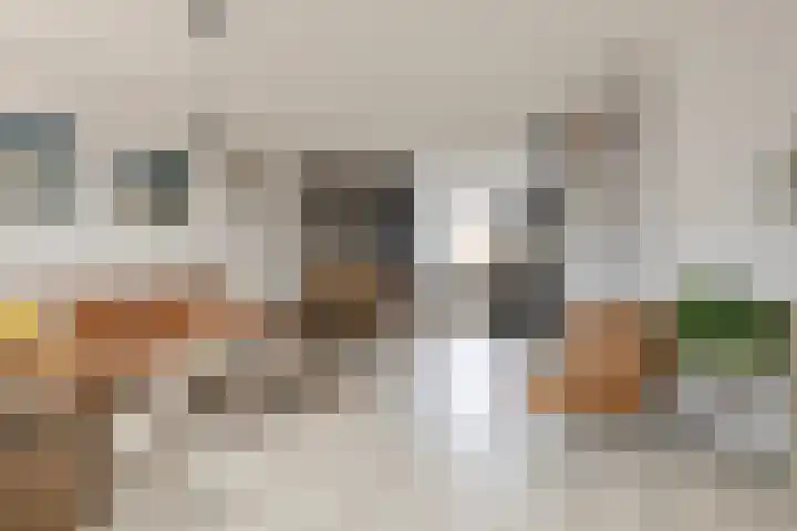 Spinnerij 6 Alkmaar thumbnail 16