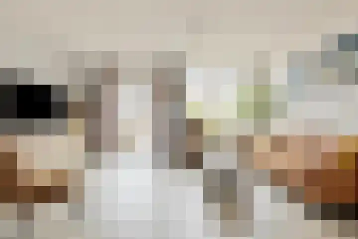 Spinnerij 6 Alkmaar thumbnail 18