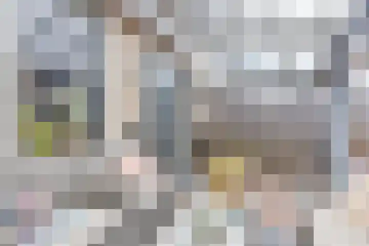 Spinnerij 6 Alkmaar thumbnail 21