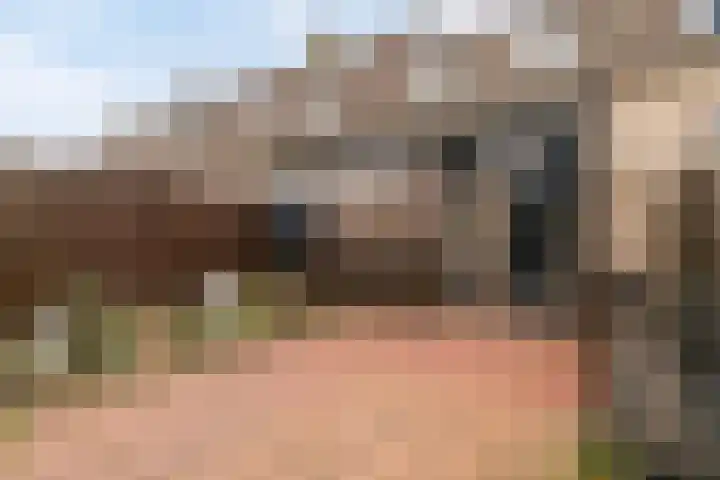 Spinnerij 6 Alkmaar thumbnail 25