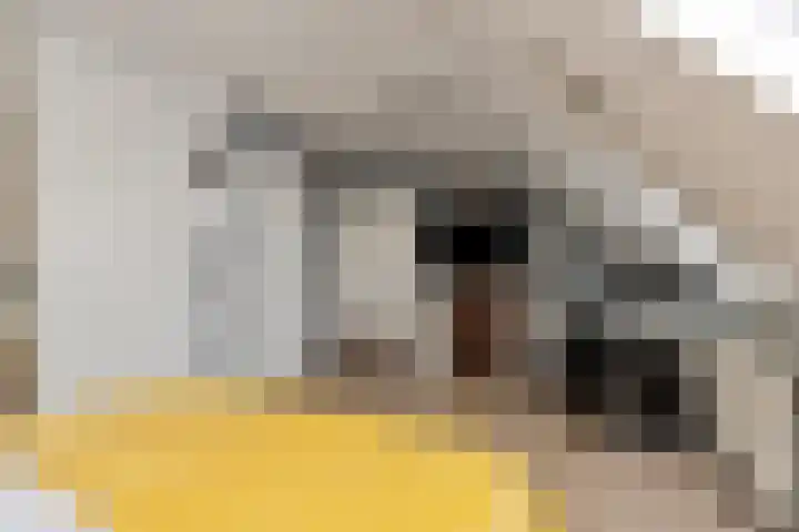 Spinnerij 6 Alkmaar thumbnail 30
