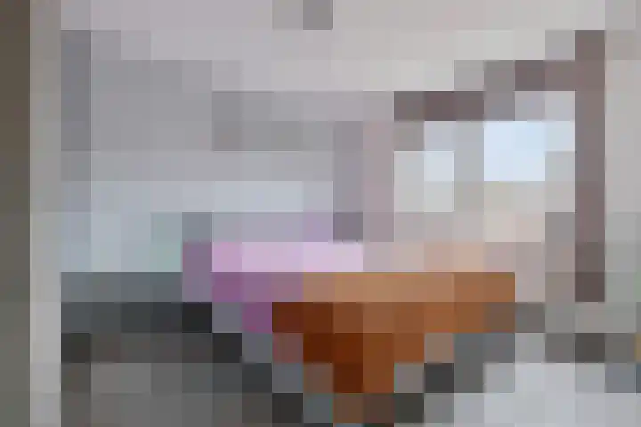 Spinnerij 6 Alkmaar thumbnail 33