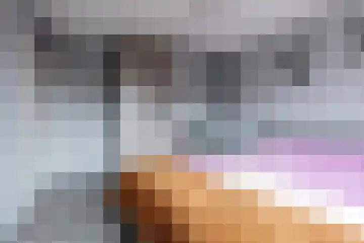 Spinnerij 6 Alkmaar thumbnail 34