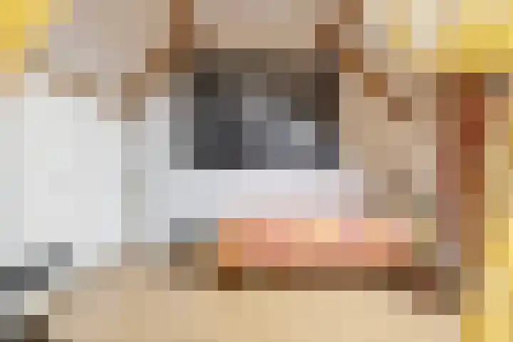 Spinnerij 6 Alkmaar thumbnail 35