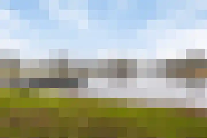 Spinnerij 6 Alkmaar thumbnail 41