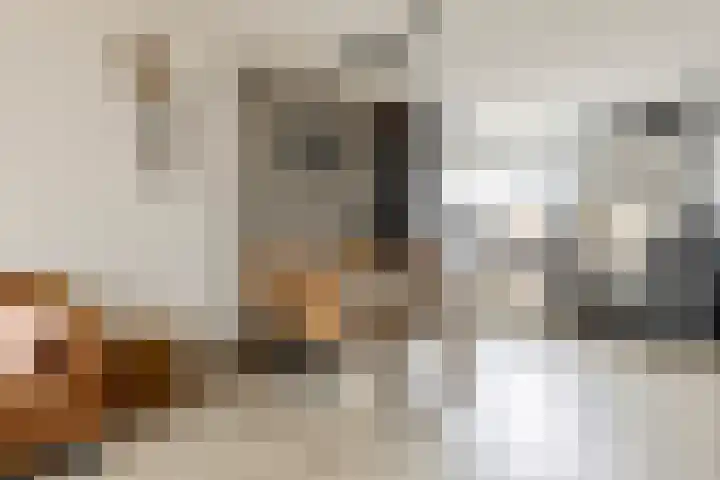 Spinnerij 6 Alkmaar thumbnail 9