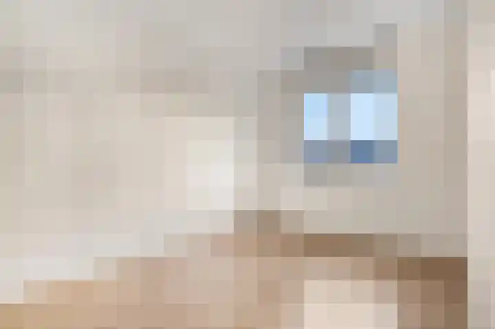 Spinnerij 65 Ede thumbnail 11