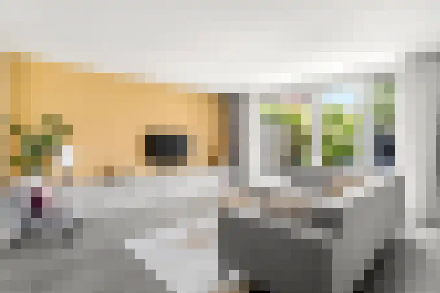 Spinnerij 71 Ede thumbnail 13