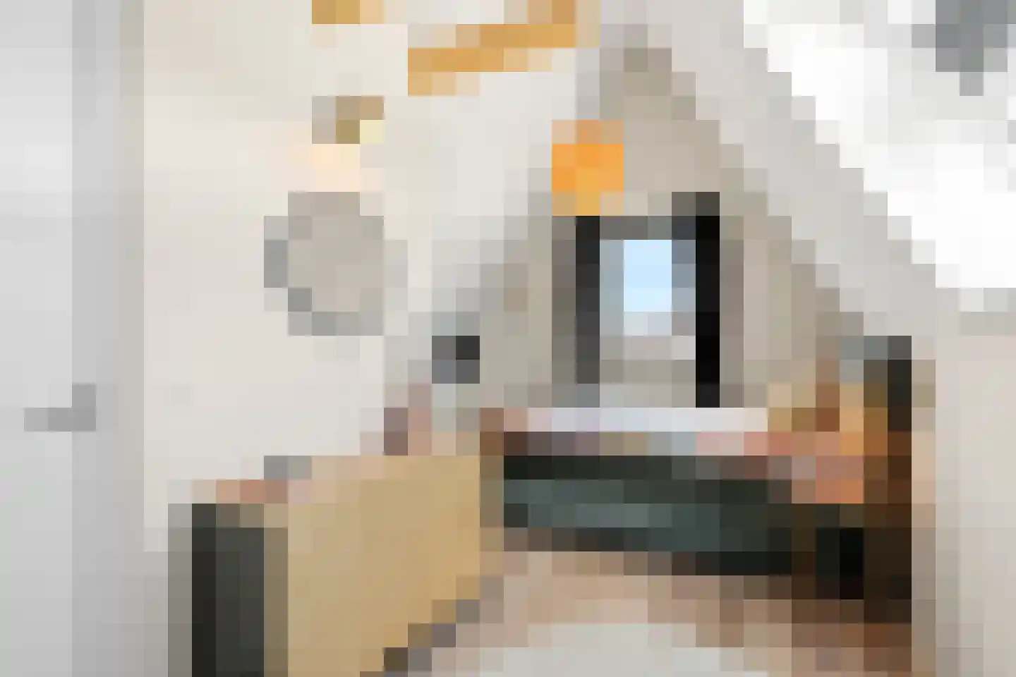 Spinnerij 71 Ede thumbnail 38