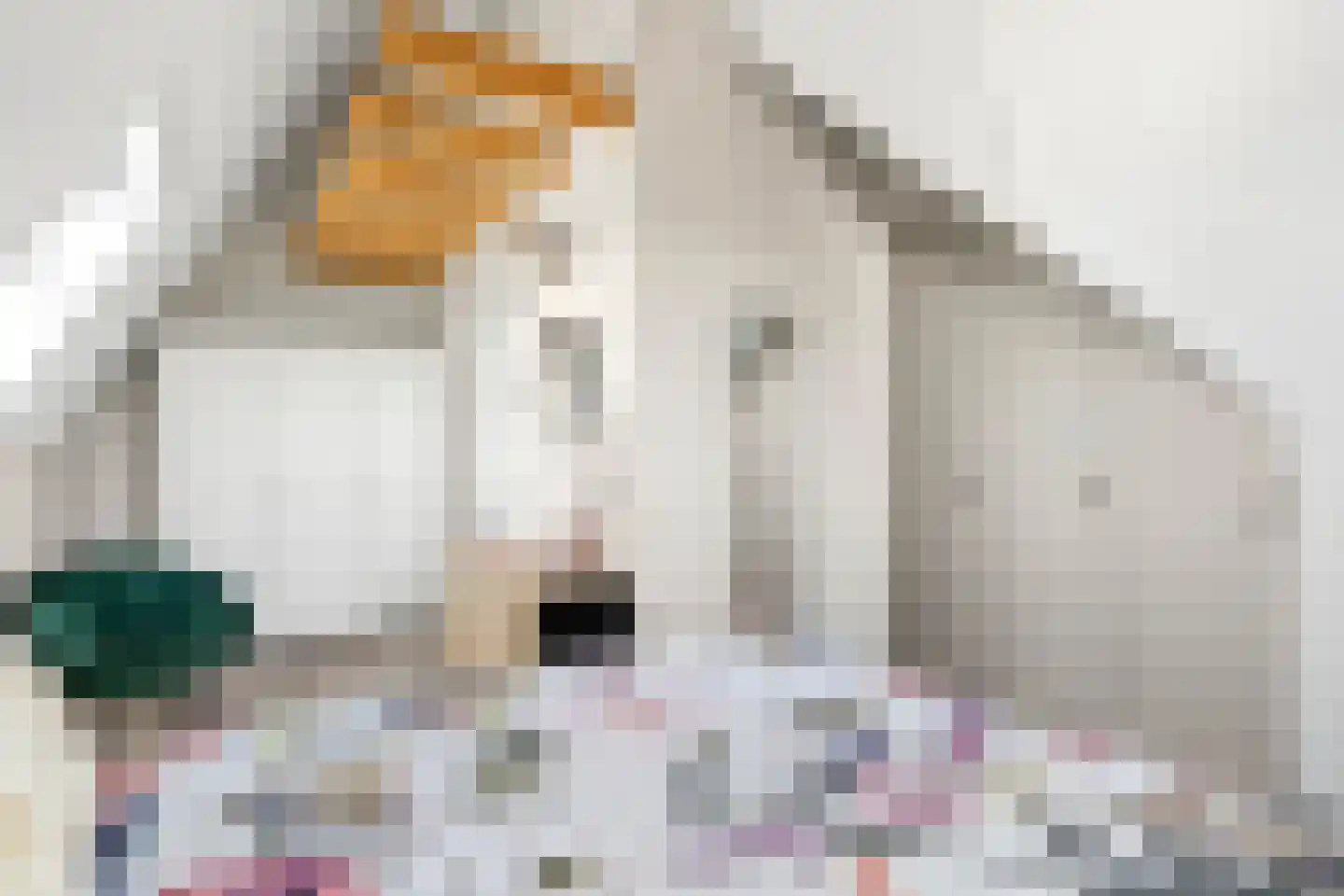 Spinnerij 71 Ede thumbnail 39