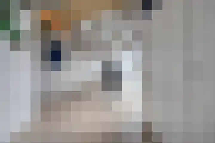 Spinnerij 8 Almelo thumbnail 23
