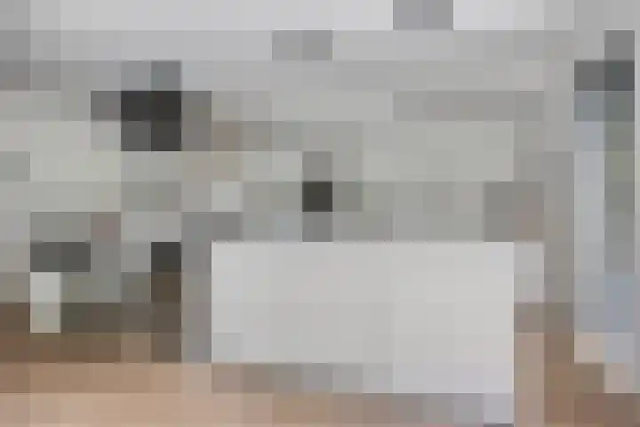 Spinnerijlaan 8 Berkel-Enschot thumbnail 11