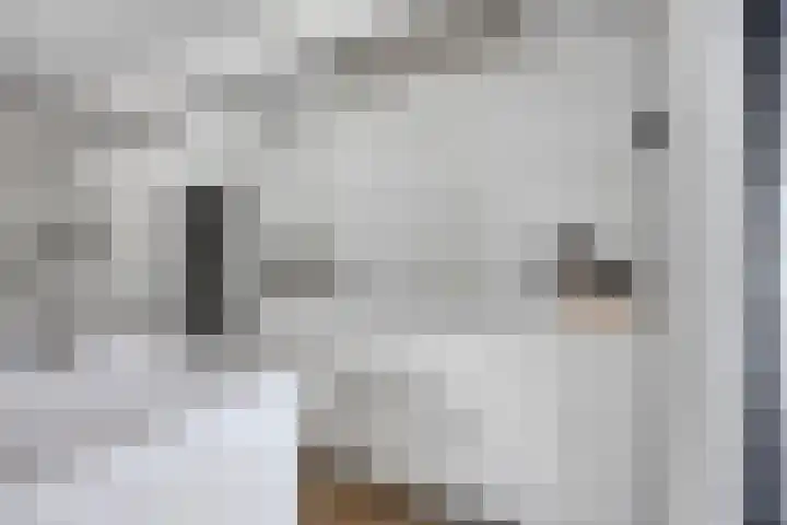 Spinnerijlaan 8 Berkel-Enschot thumbnail 13