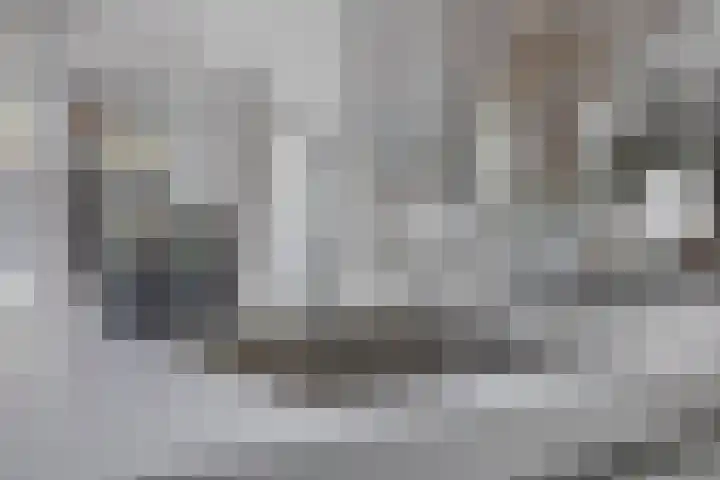 Spinnerijlaan 8 Berkel-Enschot thumbnail 14