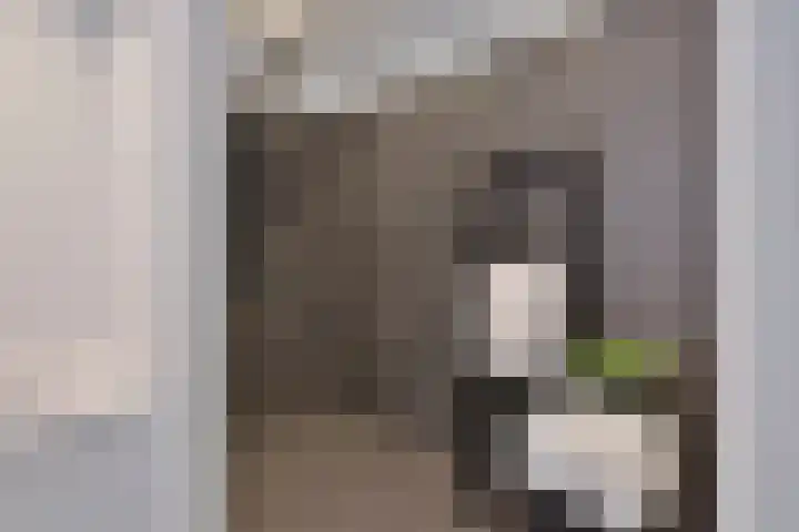Spinnerijlaan 8 Berkel-Enschot thumbnail 17