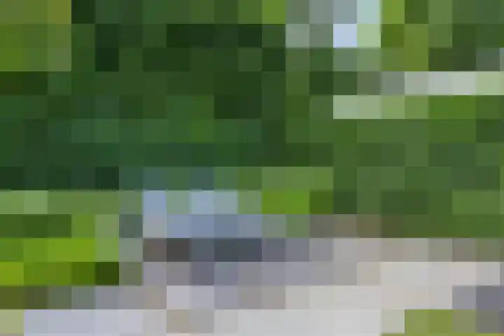 Spinnerijlaan 8 Berkel-Enschot thumbnail 32