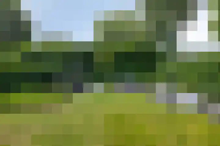 Spinnerijlaan 8 Berkel-Enschot thumbnail 33